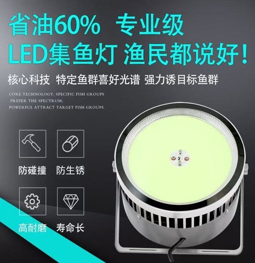 汕头集鱼灯